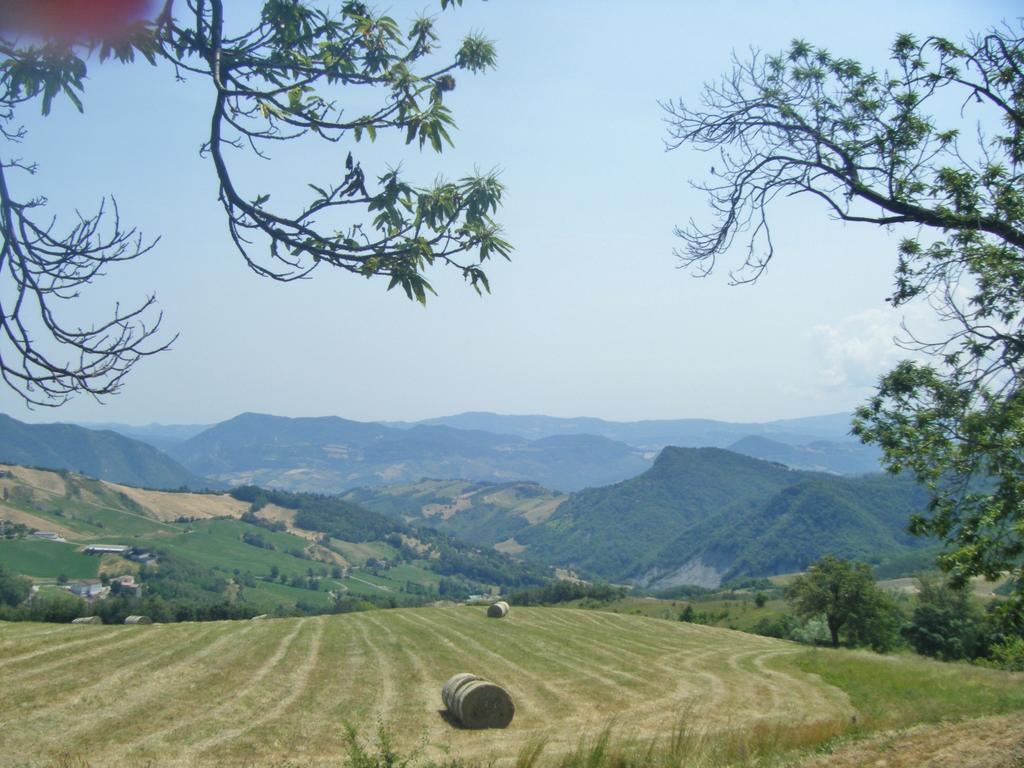 La Piana Dei Castagni * Castel d'Aiano