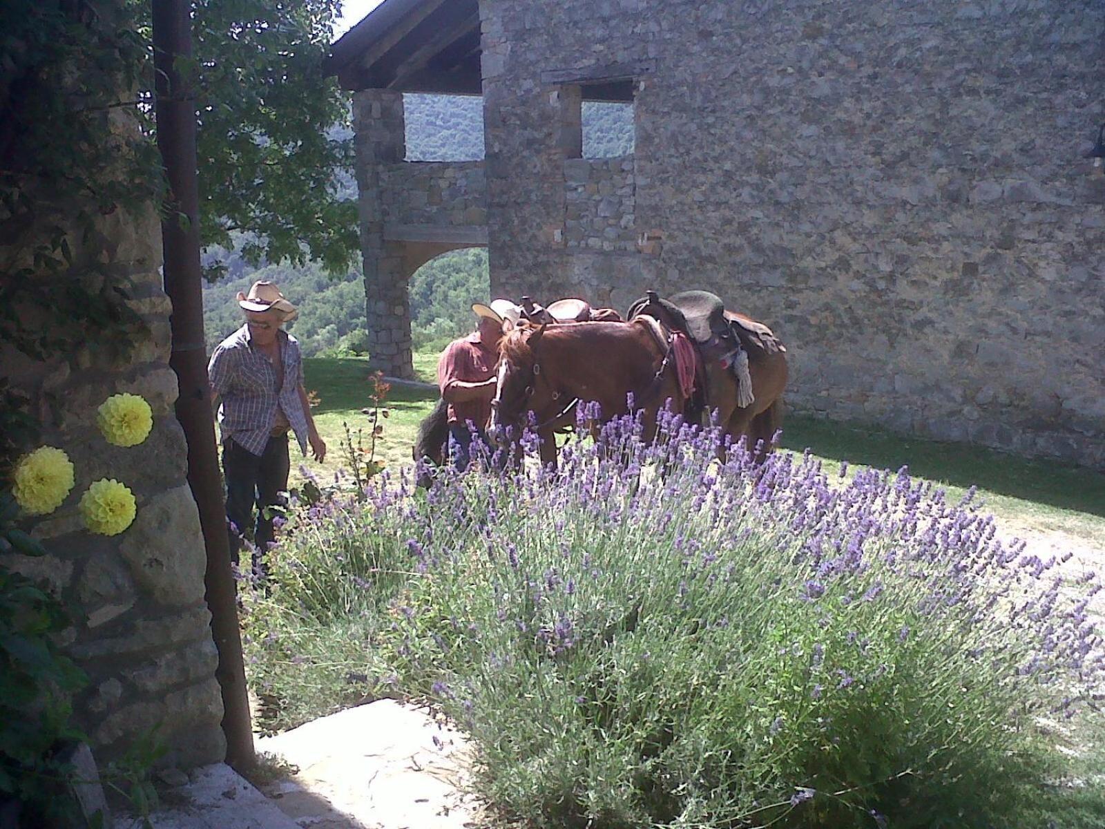 La Piana Dei Castagni *