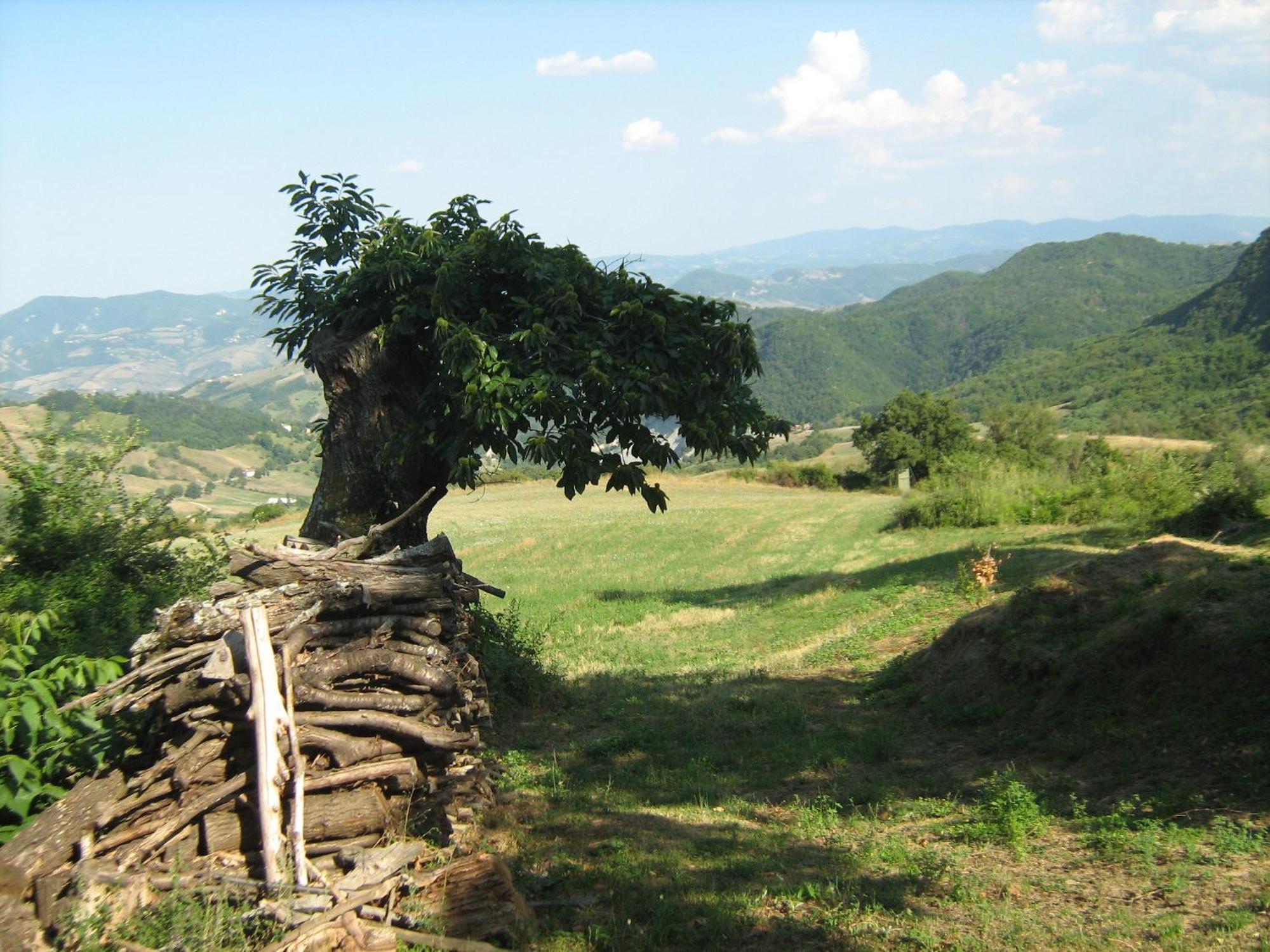 La Piana Dei Castagni Farm stay *