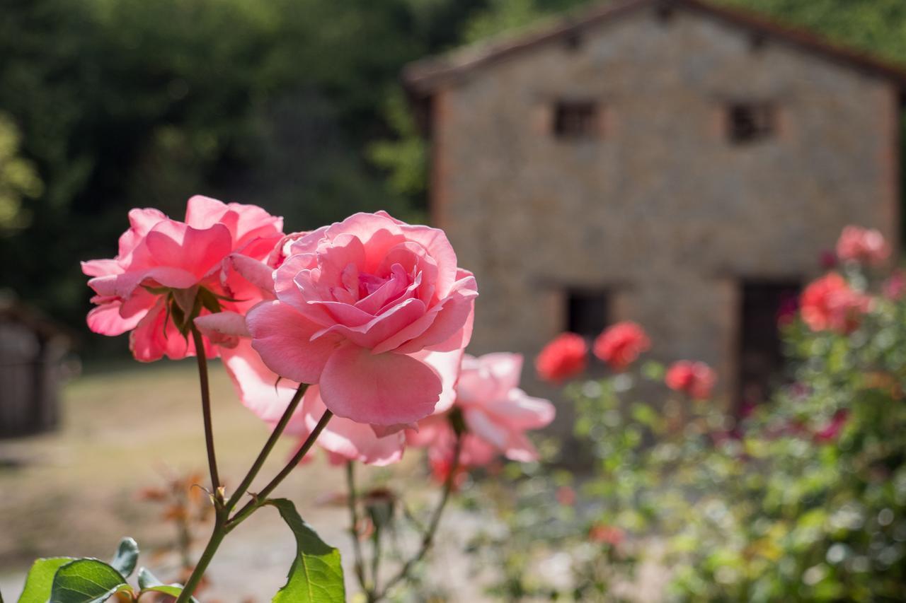 La Piana Dei Castagni * Castel d'Aiano